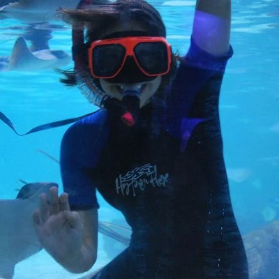Guest snorkeling in an aquarium habitat