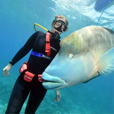 Guest underwater during a snuba adventure